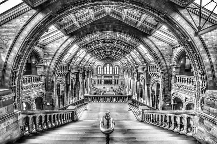 The Natural History Museum, London
