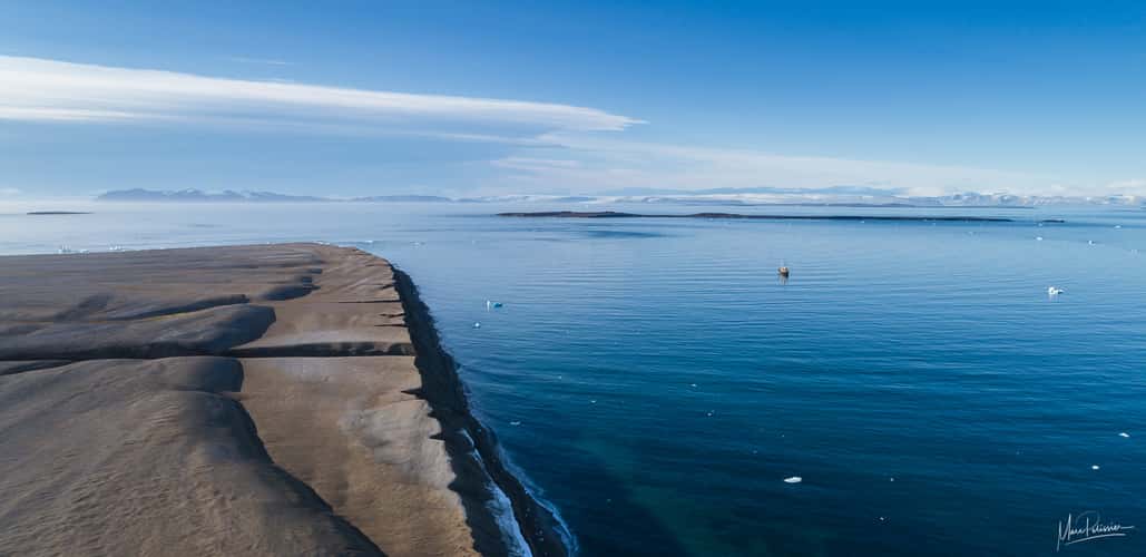 The walrus island