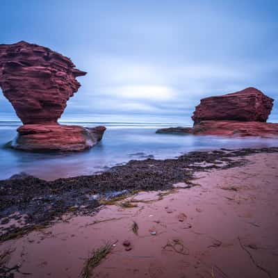 Thunder Cove Beach Cup & Saucer Rock Prince Edward Island, Canada