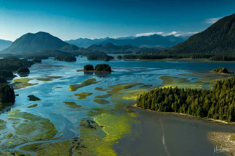 Tofino water lines