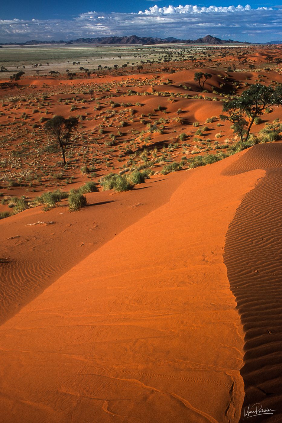 Tok tokkie Panorama, Namibia