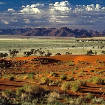 Tok tokkie Panorama, Namibia