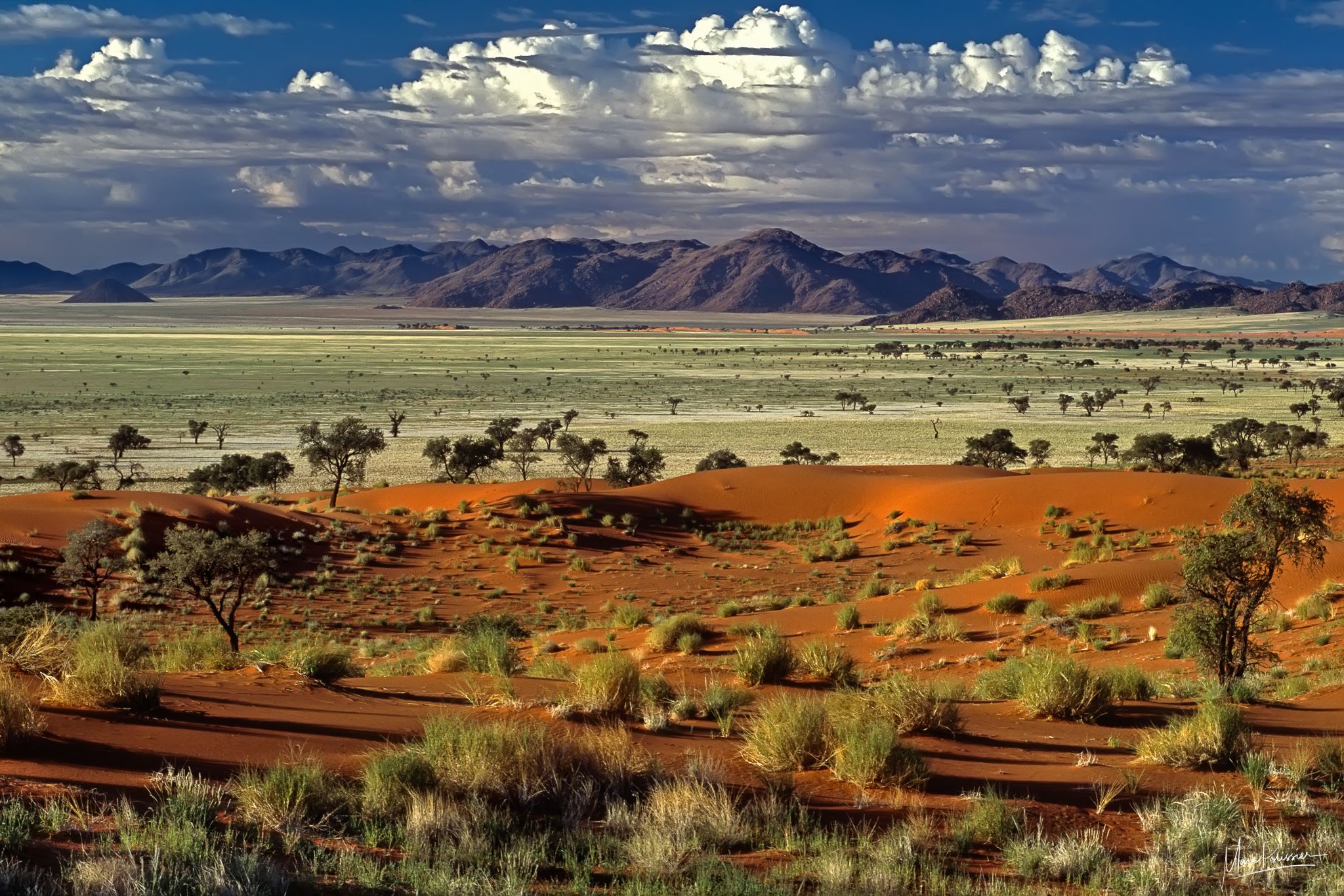 Tok tokkie Panorama, Namibia