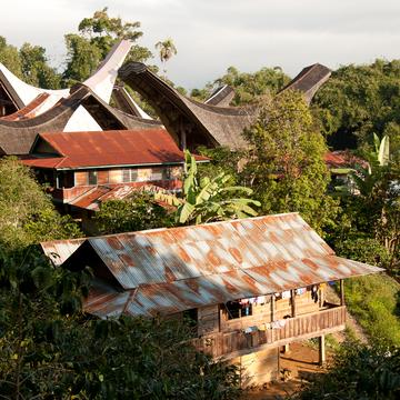 Toraja houses in jungle, Indonesia