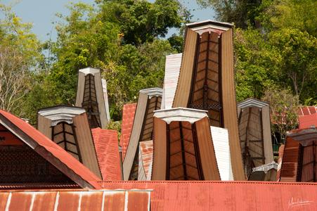 Toraja roof