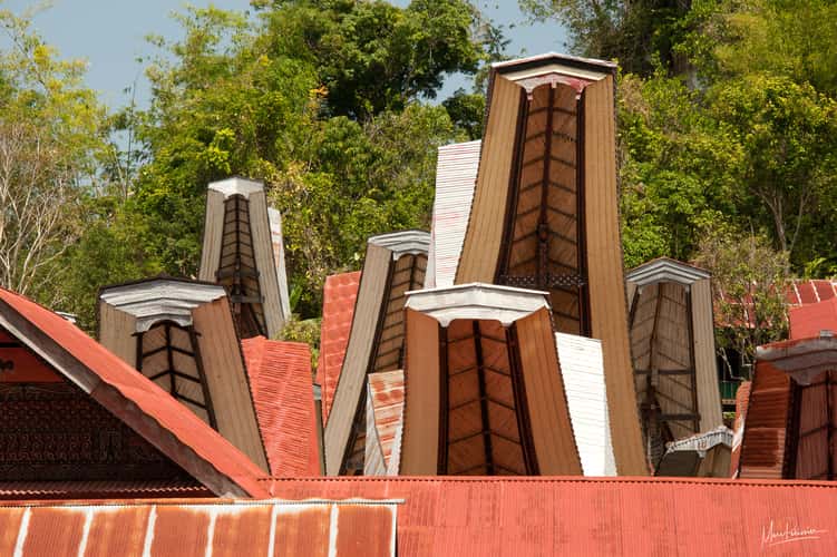Toraja roof