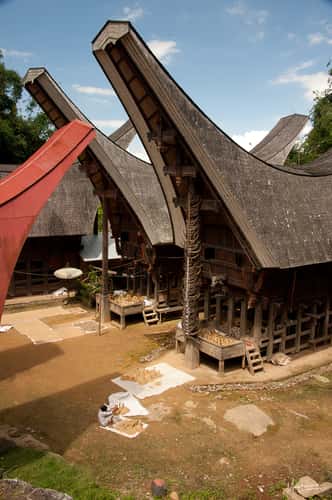 Traditional Sulawesi Tora roof house