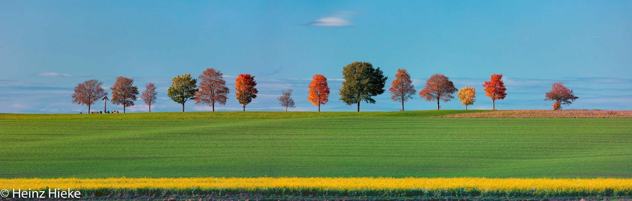 Treedream, Germany