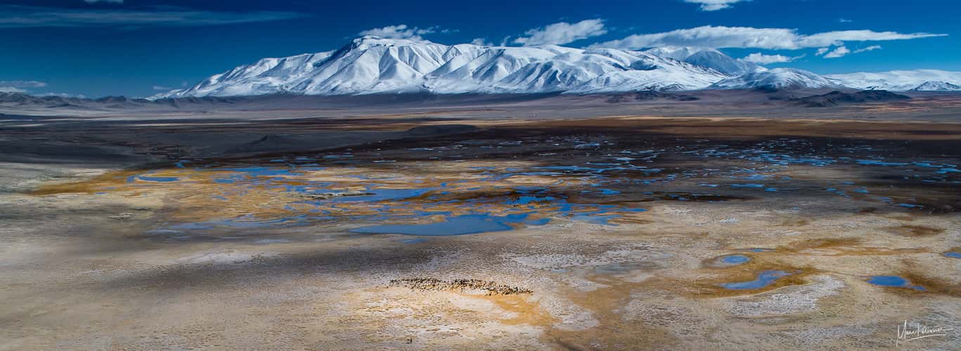 Tsast Ula view over Altai