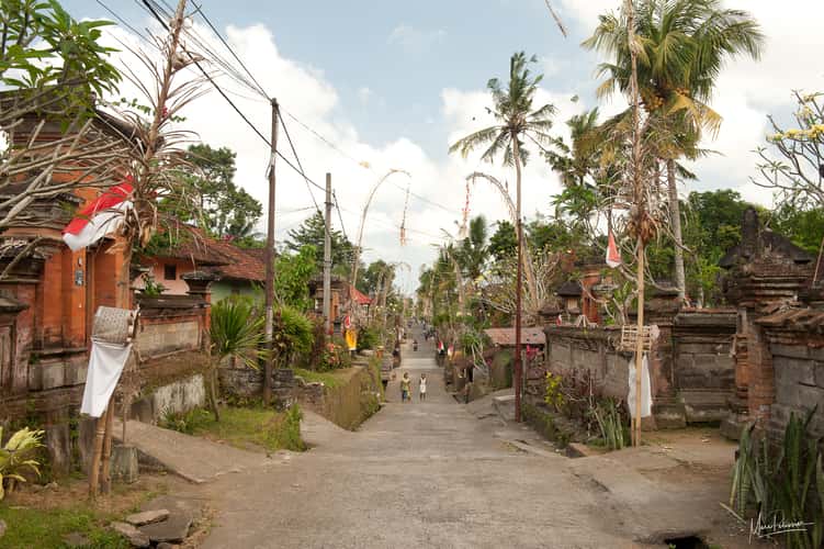 Ubud outside street