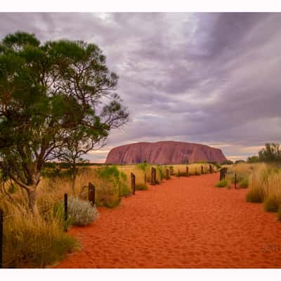 Uluru (aka Ayers Rock) Northern Terrytory, Australia, Australia