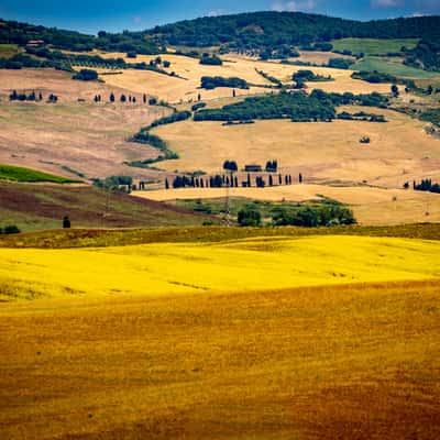 Val d'Orcia,SI,Toscana, Italy