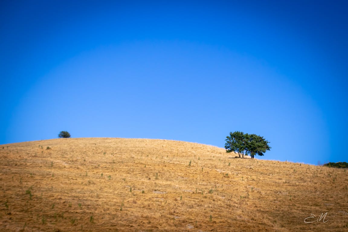 Val d'Orcia,SI,Toscana, Italy