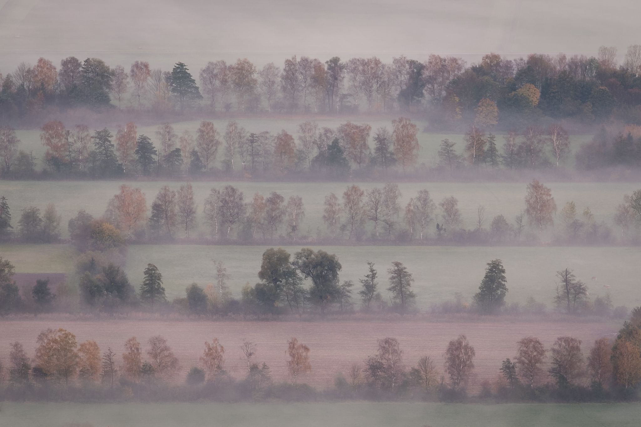 View at the fields in Rhein Valley, Liechtenstein
