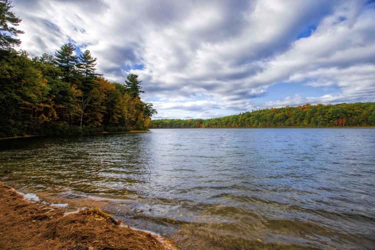 Walden Pond