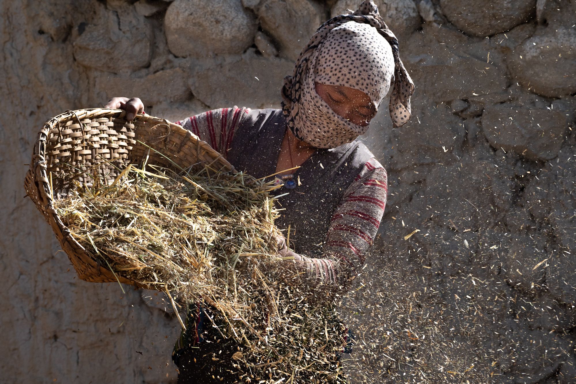 Working the harvest, Nepal
