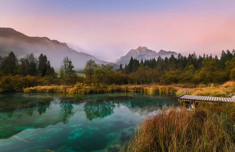 Zelenci Nature Reserve