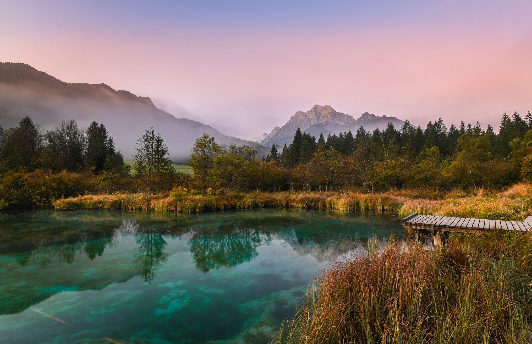 Zelenci Nature Reserve, Slovenia