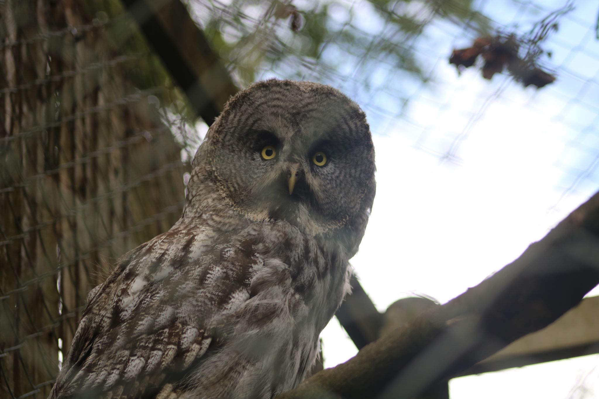 Zoo, United Kingdom