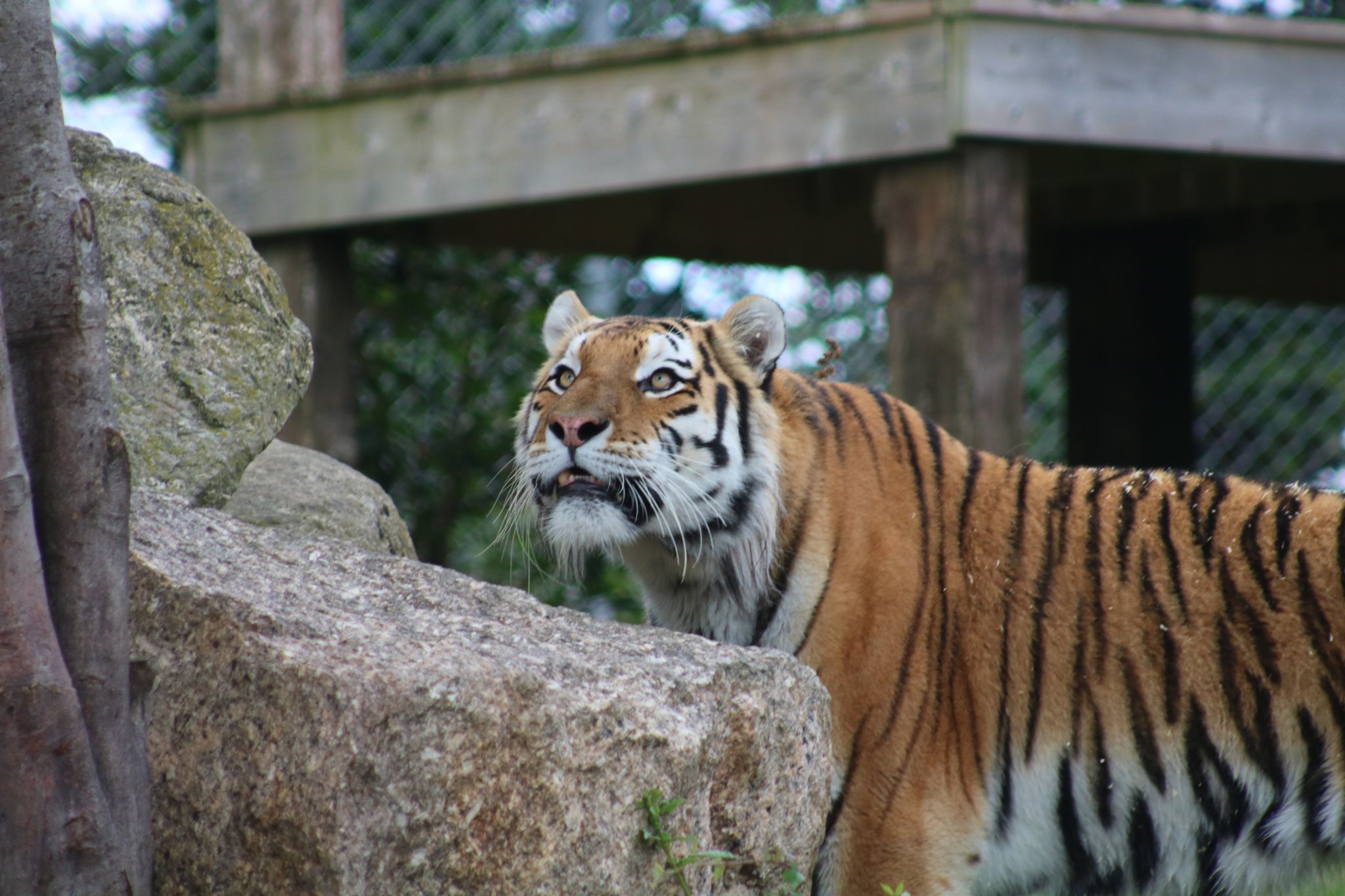 Zoo, United Kingdom