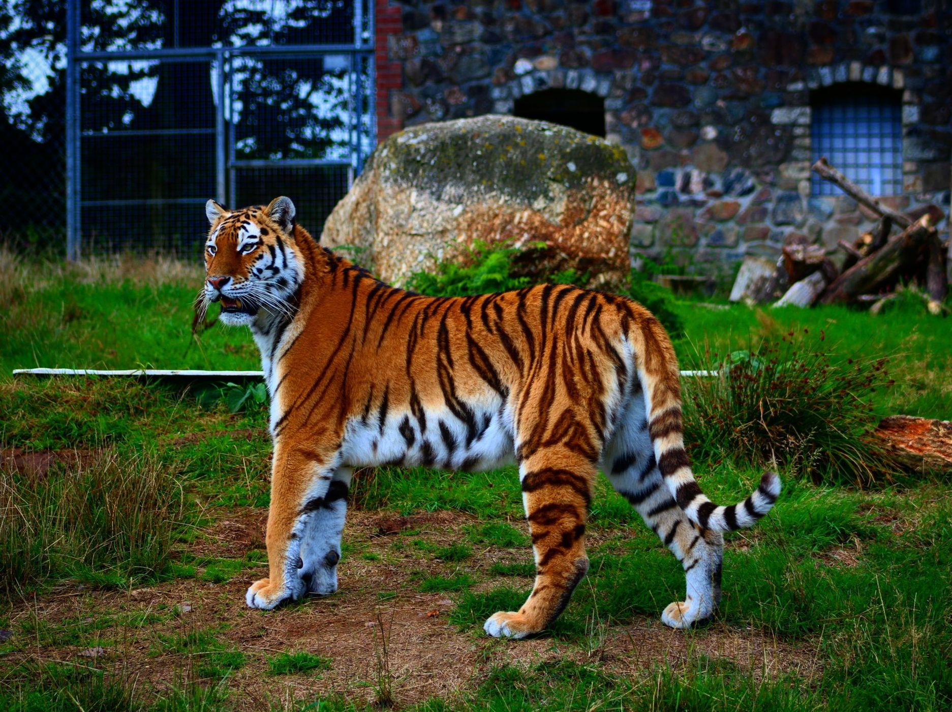 Zoo, United Kingdom