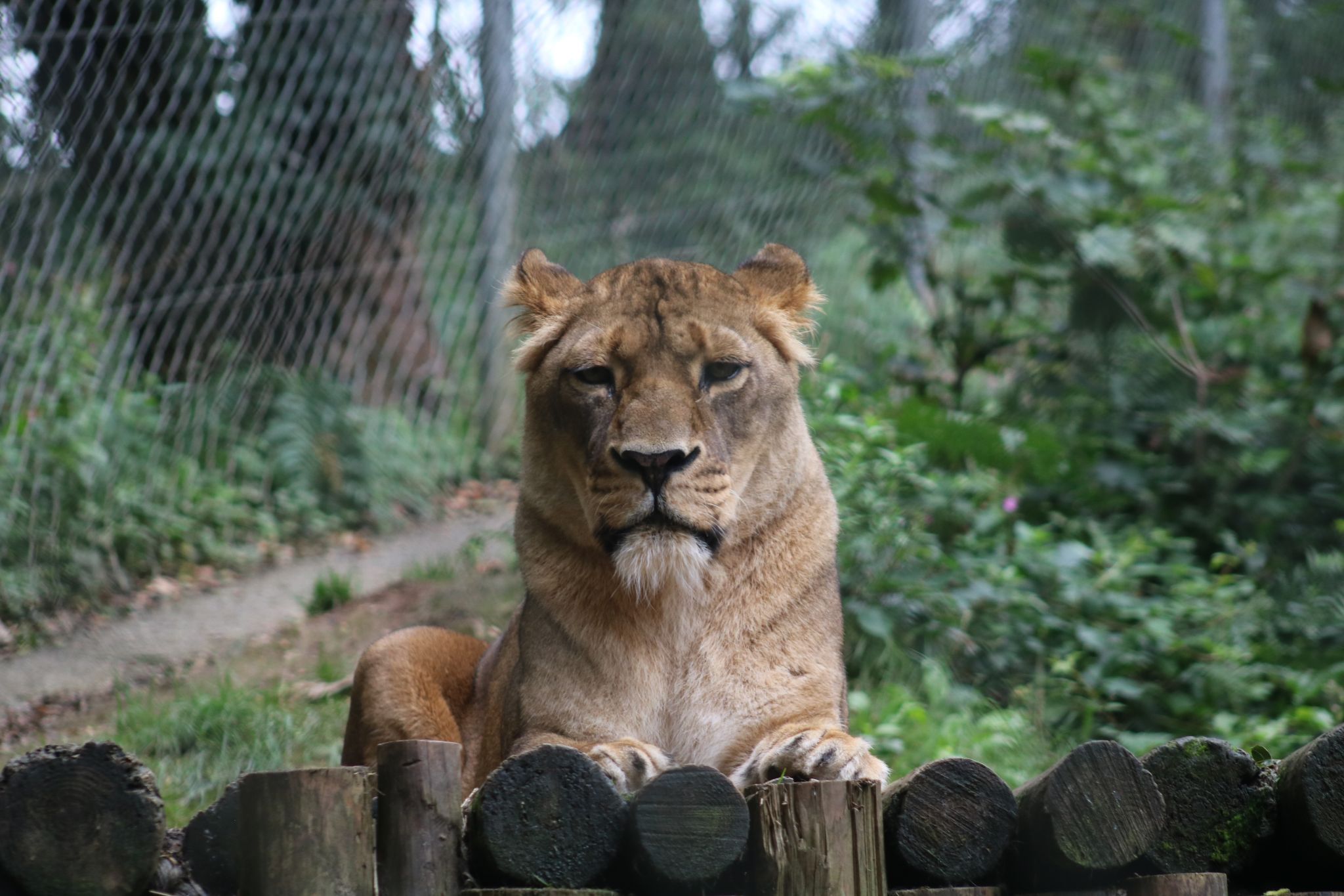 Zoo, United Kingdom