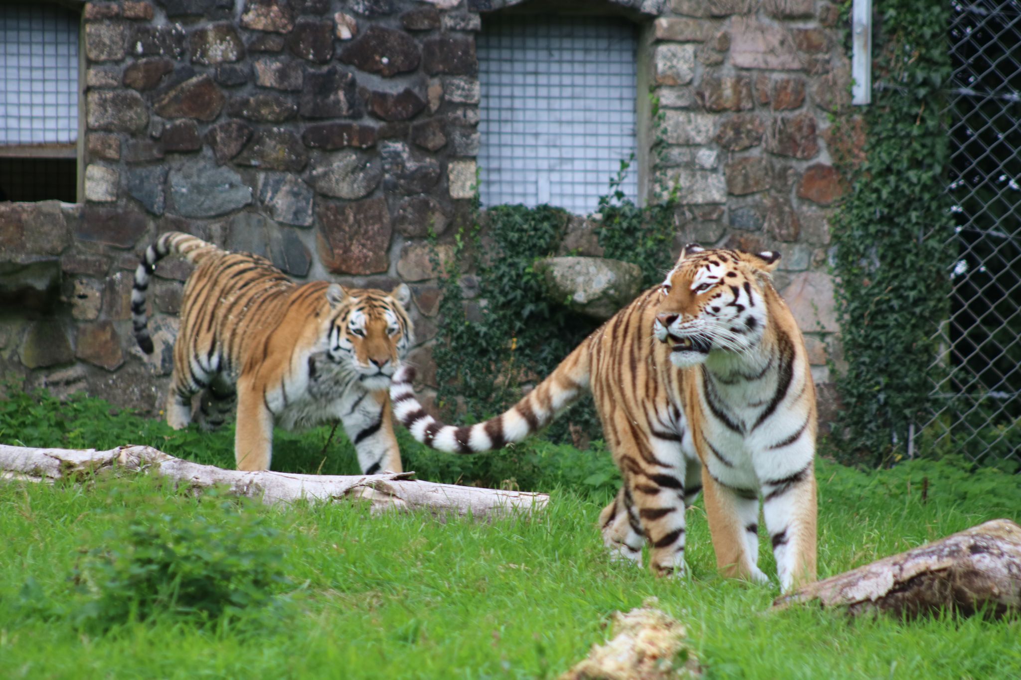 Zoo, United Kingdom
