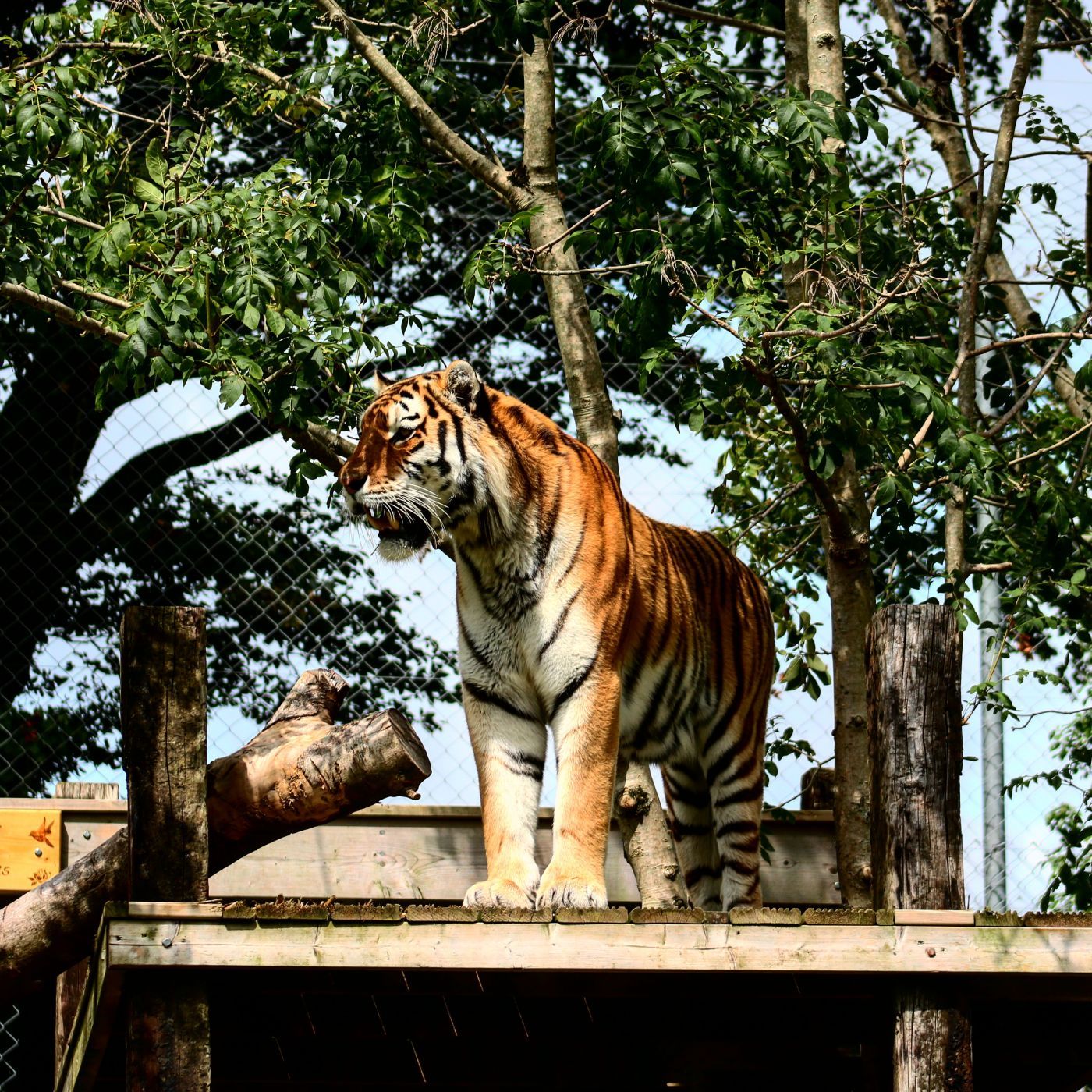 Zoo, United Kingdom