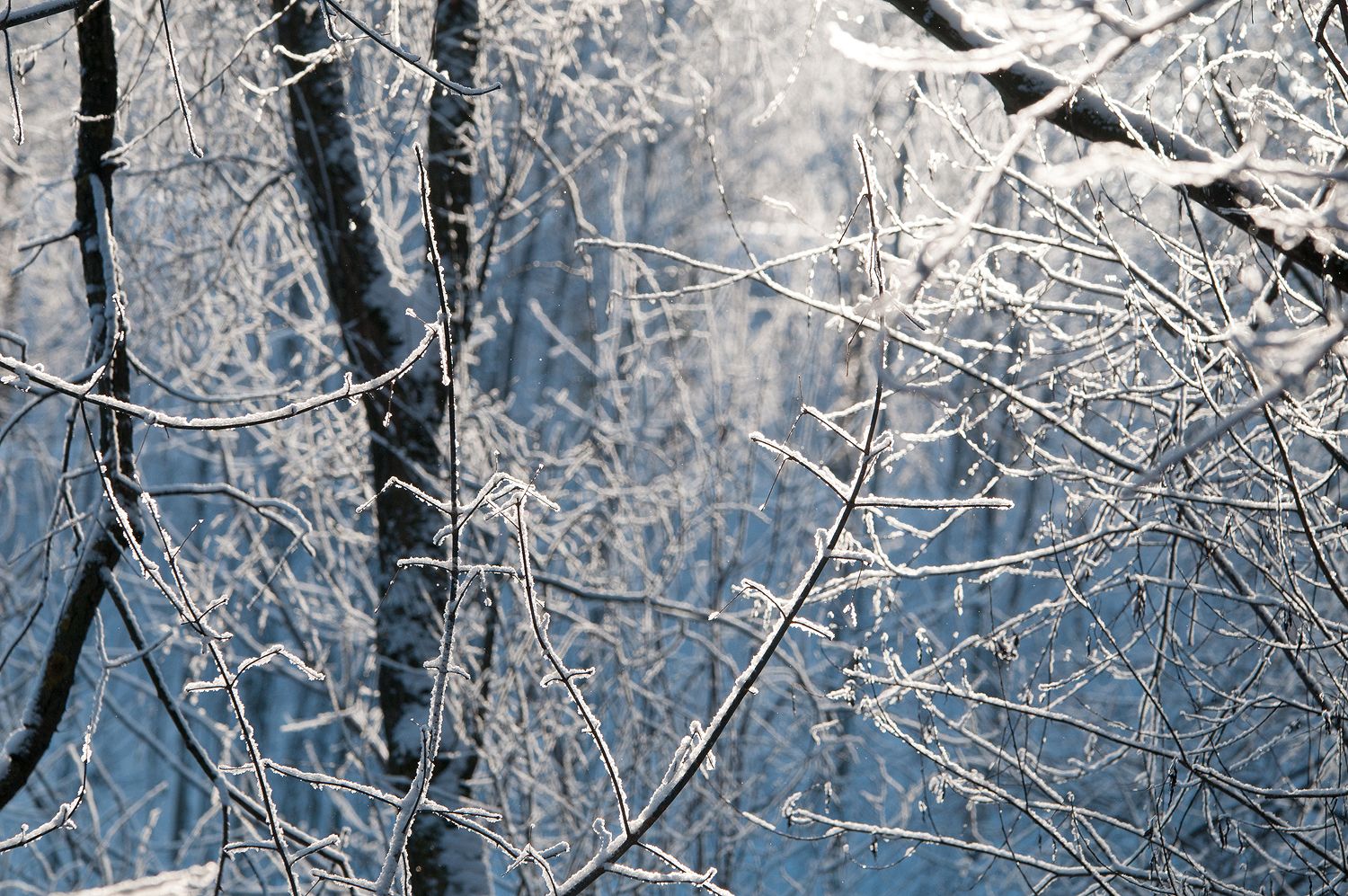 A winter view to a church, Russian Federation