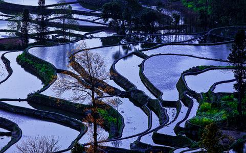 In the evening at the rice terraces