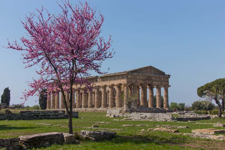 Ancient Ruins