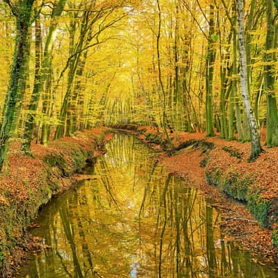 Angelbrücke im Wolbecker Tiergarten, Germany