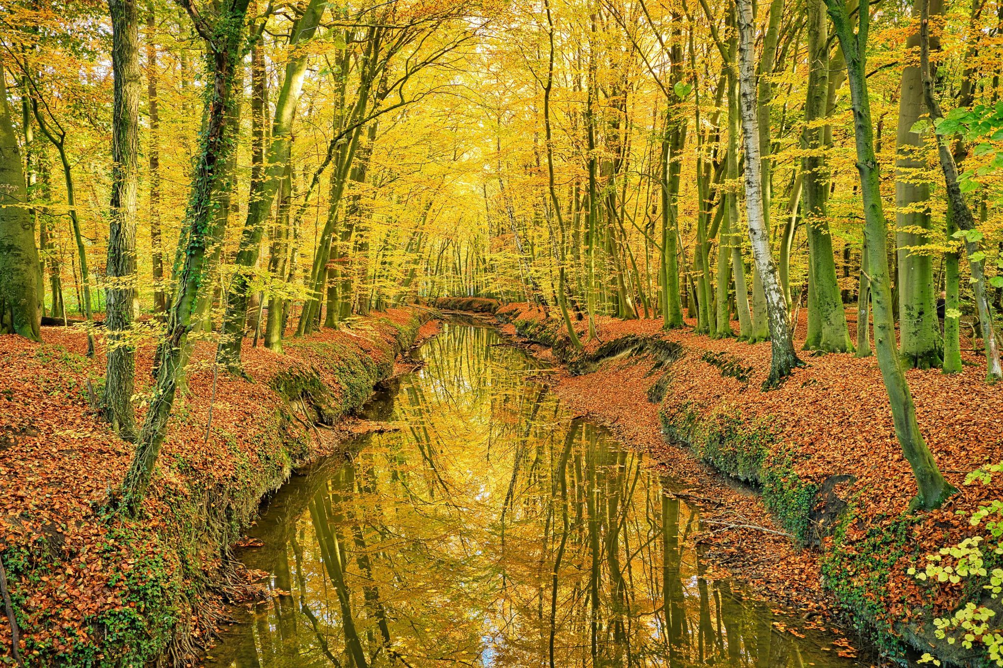 Angelbrücke im Wolbecker Tiergarten, Germany