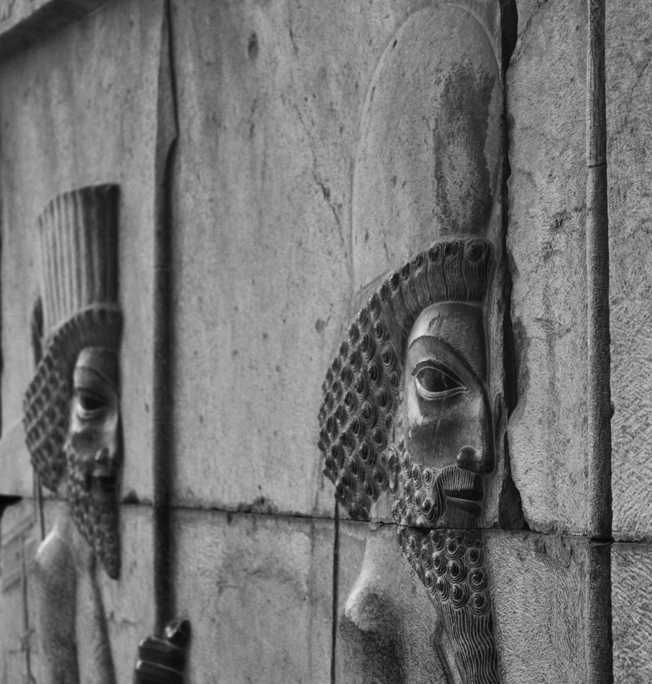 Apadana reliefs, Iran