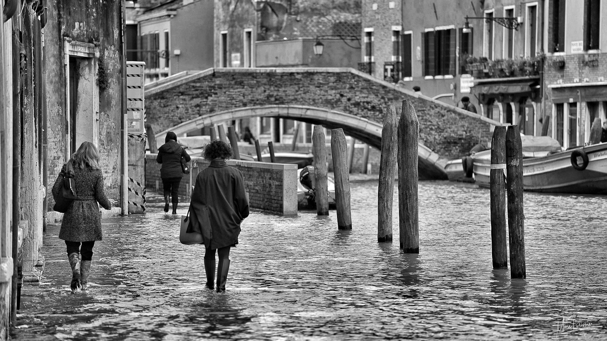 Aqua alta in Dorsoduro, Italy