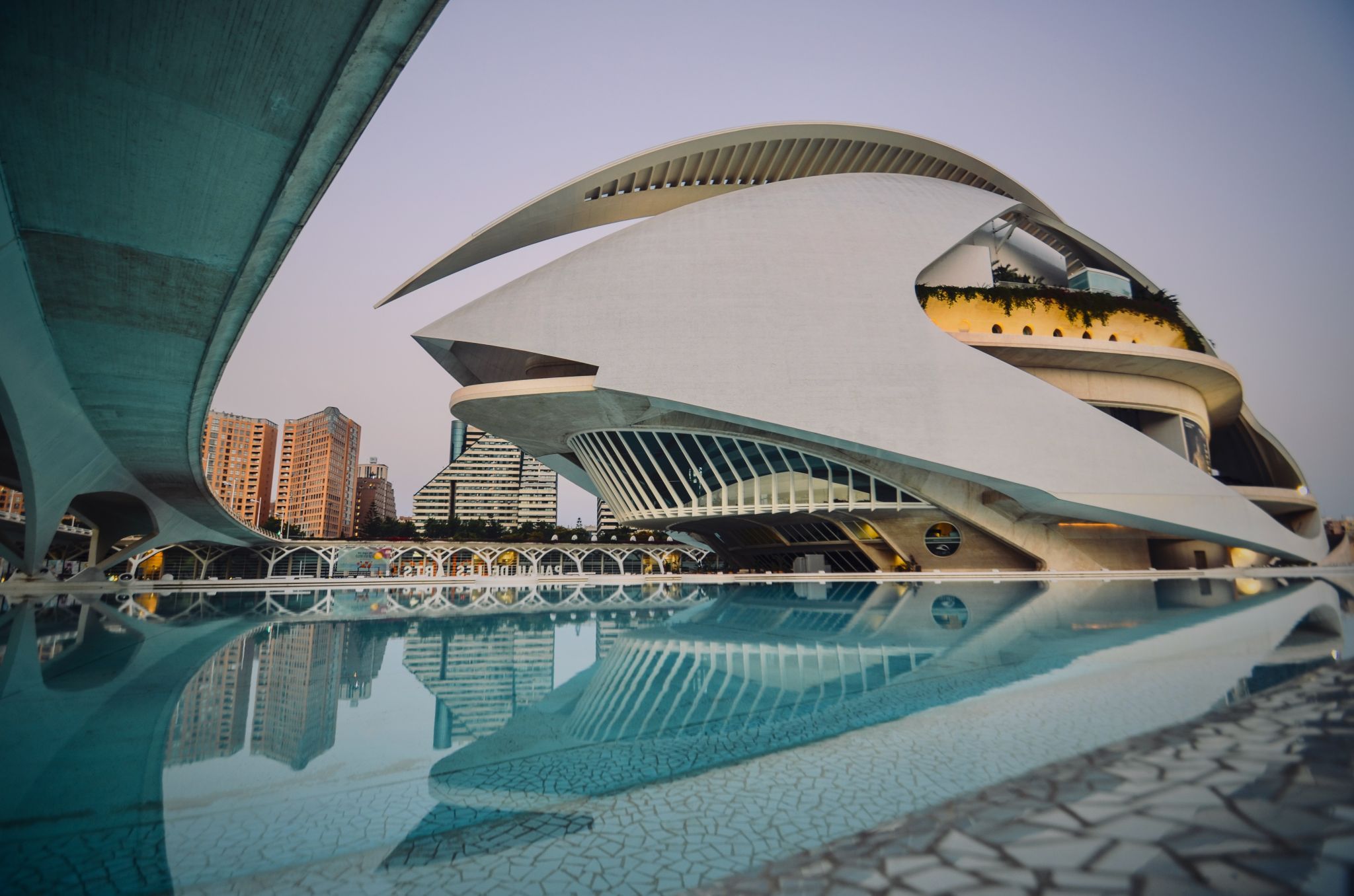 Palau de les Arts Reina Sofia, east view, Valencia, Spain