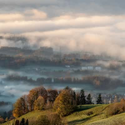 Bachtel, Switzerland