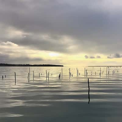 Bassin d'Arcachon, France