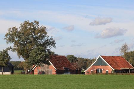 Bauernhof in den Niederlanden