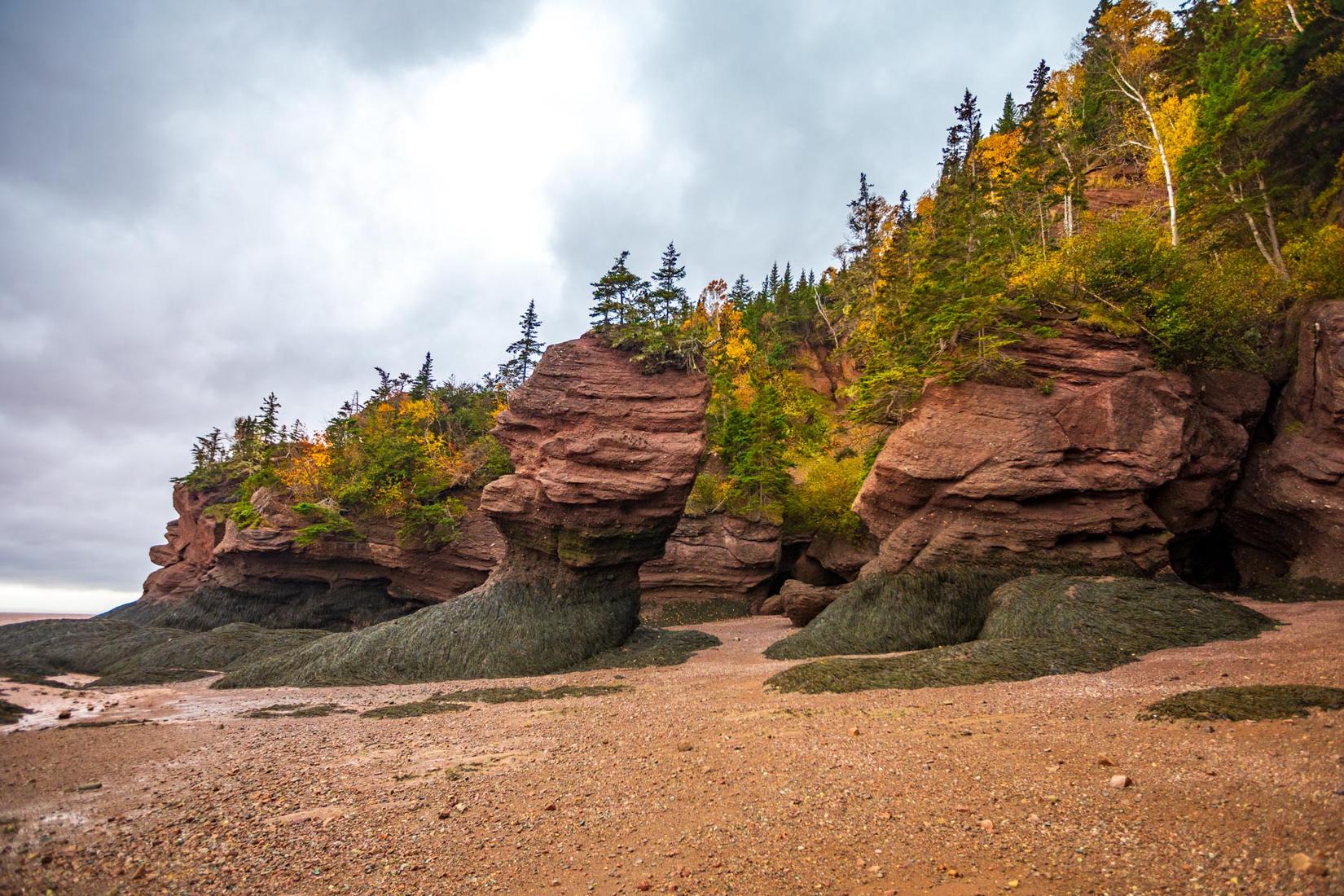 Bay of Fundy, Hopewell Rocks, New Brunswick, Canada