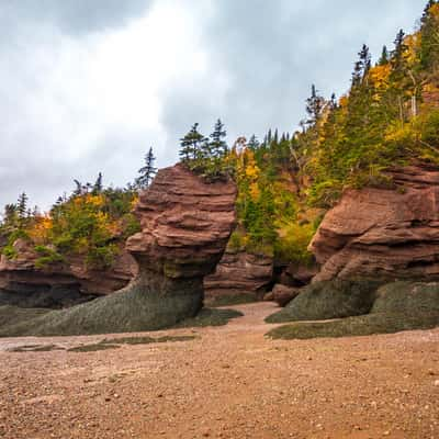 Bay of Fundy, Hopewell Rocks, New Brunswick, Canada