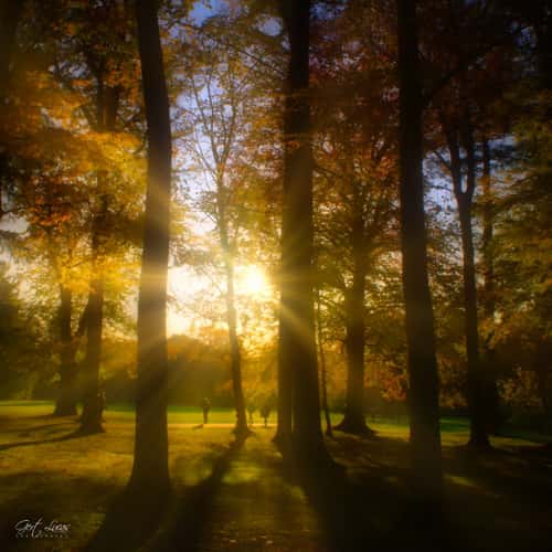 Bokrijk sunset