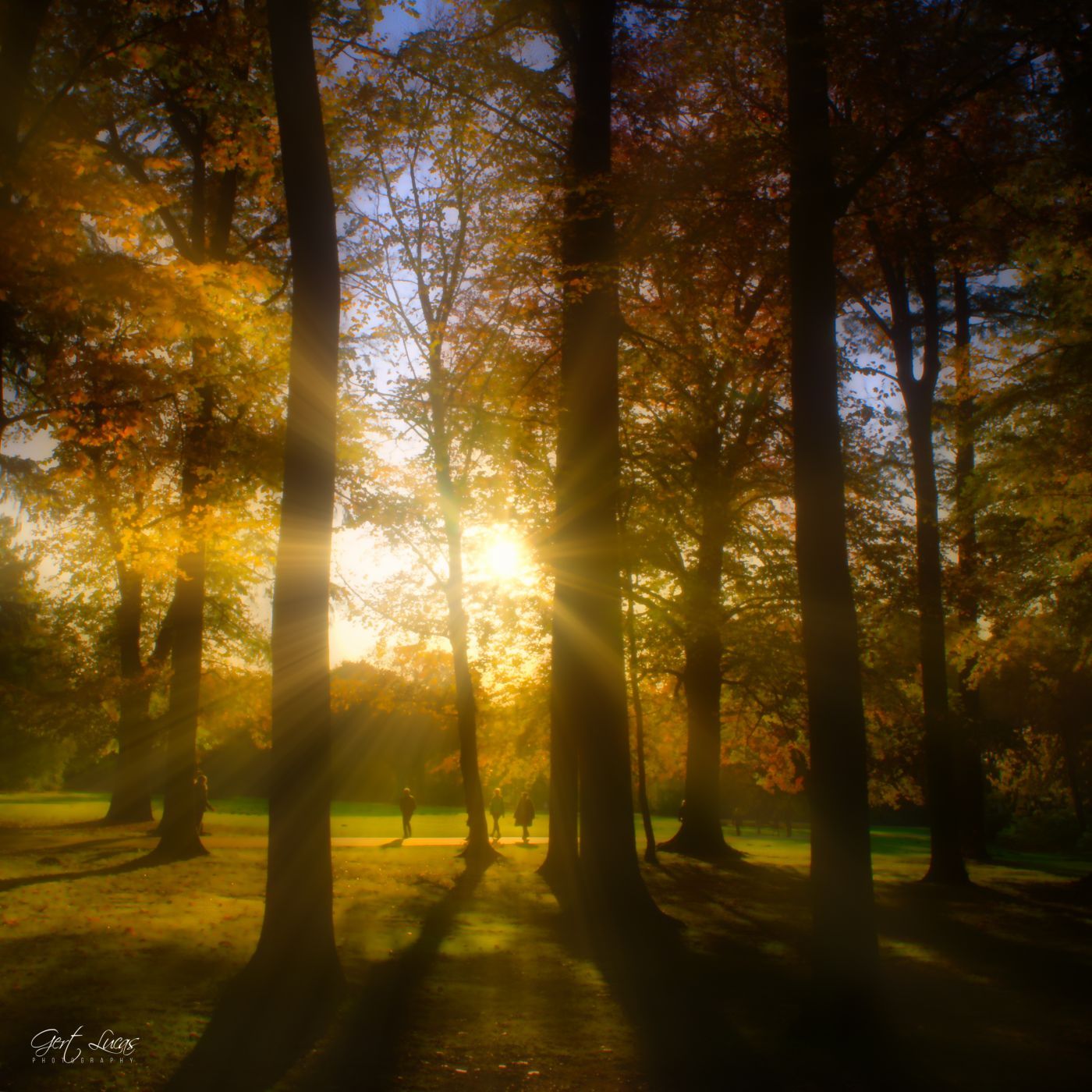 Bokrijk sunset, Belgium