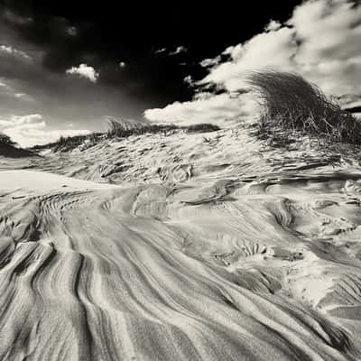 Dunes, Borkum, Germany