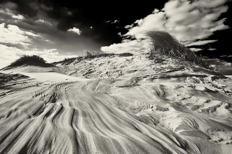 Dunes, Borkum