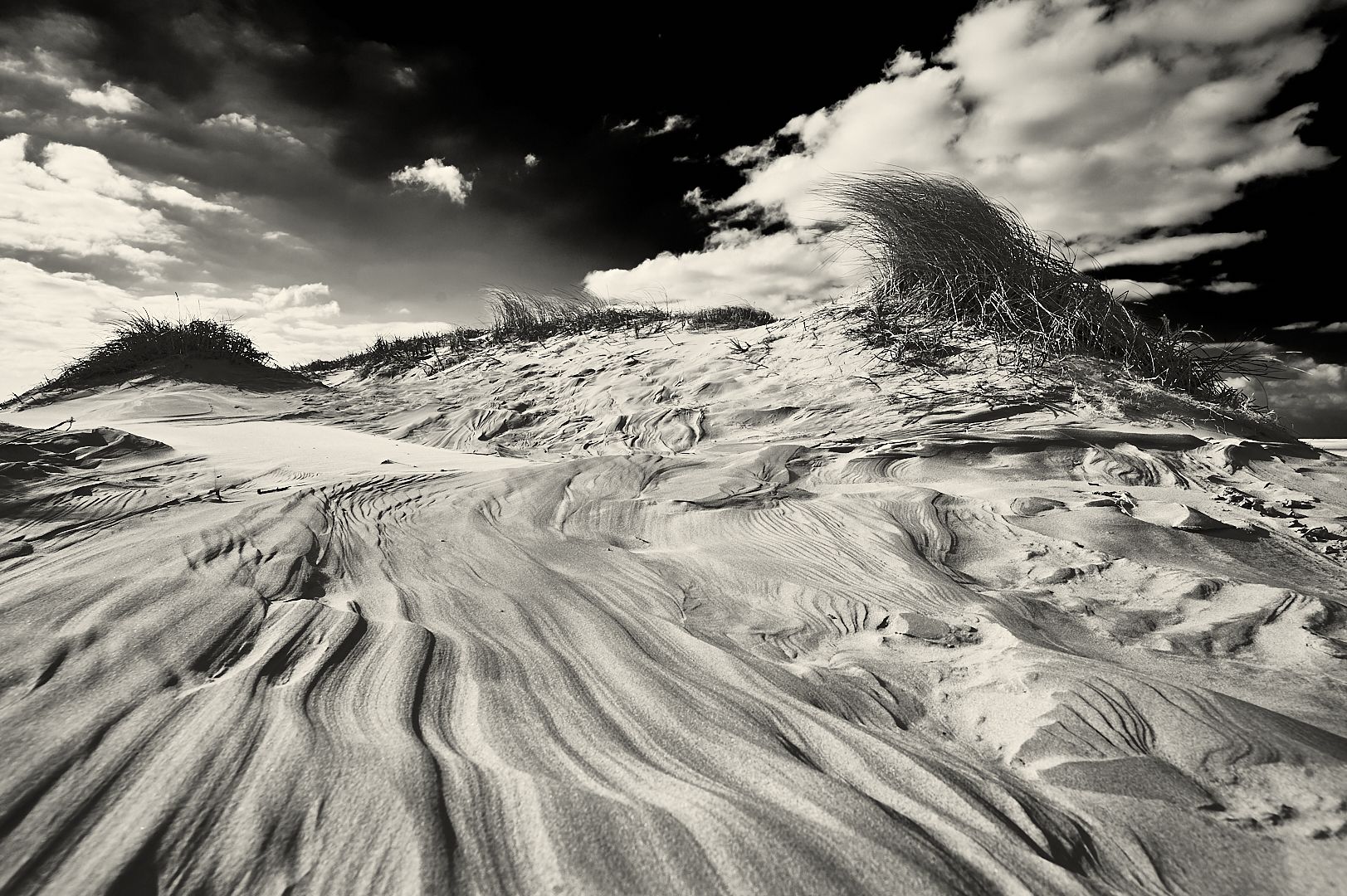 Dunes, Borkum, Germany