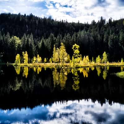 Buhlbachsee, Black Forrest, Germany