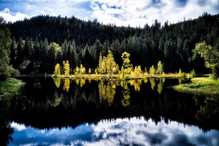 Buhlbachsee, Black Forrest