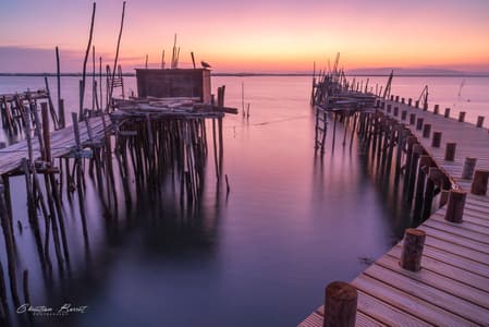 Cais Palafitico de Carrasqueira