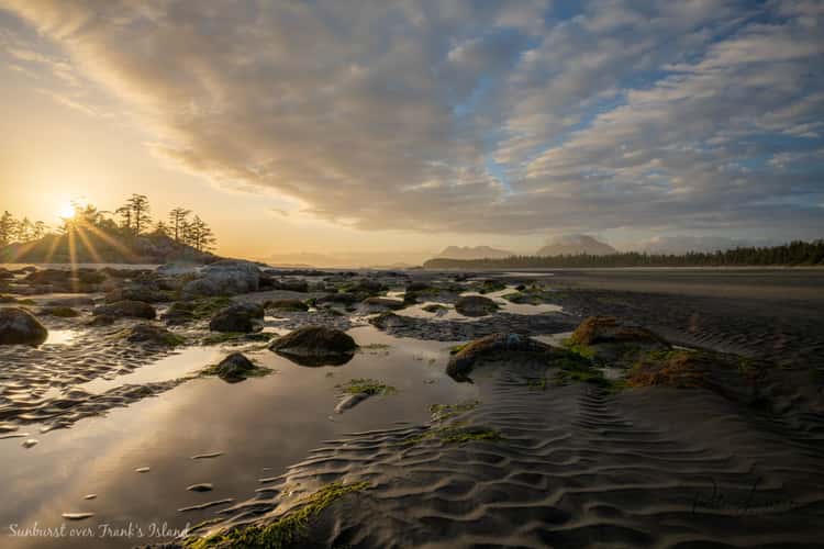 Chesterman Beach